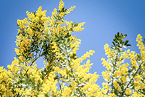 ナイスケア大森介護センターのイメージ